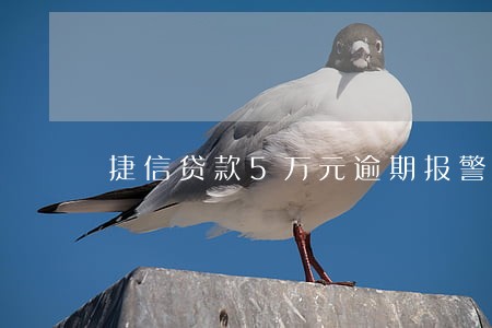 捷信贷款5万元逾期报警立案 捷信贷款5万元逾期报警立案