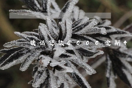 捷信贷款6000逾期4个月 捷信贷款6000逾期4个月