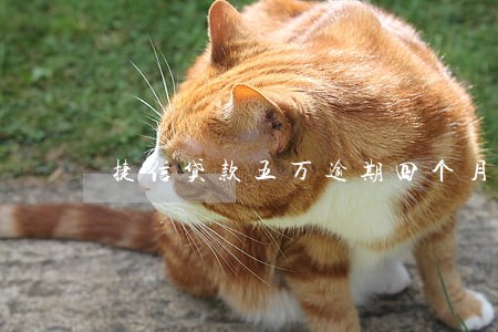 捷信贷款五万逾期四个月了 捷信贷款五万逾期四个月了
