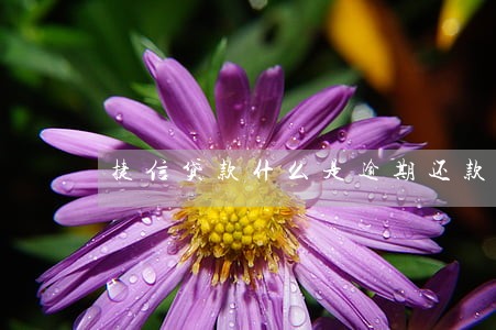 捷信贷款什么是逾期还款