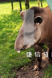 捷信贷款借了一万逾期 捷信贷款借了一万逾期