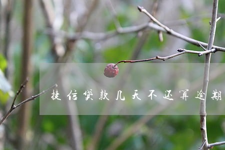 捷信贷款几天不还算逾期