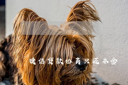 捷信贷款协商只还本金 捷信贷款协商只还本金