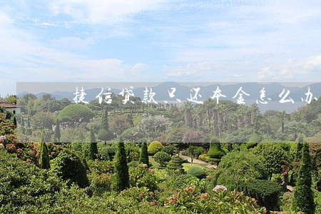捷信贷款只还本金怎么办 捷信贷款只还本金怎么办
