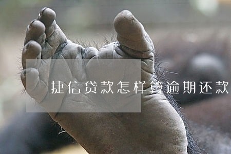 捷信贷款怎样算逾期还款 捷信贷款怎样算逾期还款