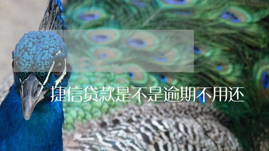 捷信贷款是不是逾期不用还