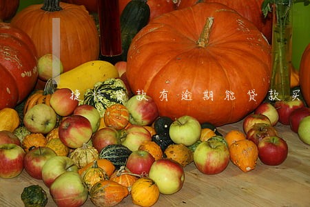 捷信贷款有逾期能贷款买车吗 捷信贷款有逾期能贷款买车吗