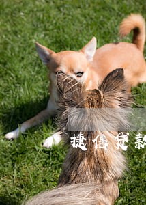 捷信贷款能协商只还本金吗 捷信贷款能协商只还本金吗
