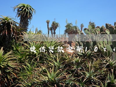 捷信贷款逾期10tian 捷信贷款逾期10tian