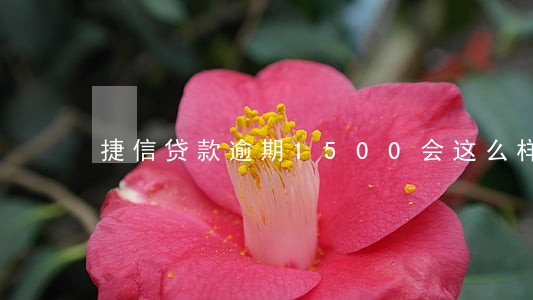 捷信贷款逾期1500会这么样 捷信贷款逾期1500会这么样