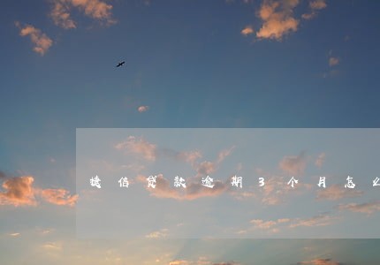 捷信贷款逾期3个月怎么办 捷信贷款逾期3个月怎么办