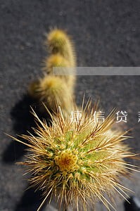 捷信贷款逾期3天会不会上征信 捷信贷款逾期3天会不会上征信