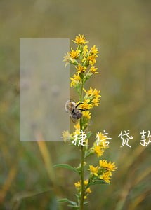 捷信贷款逾期3年怎么还款吗 捷信贷款逾期3年怎么还款吗