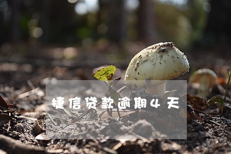 捷信贷款逾期4天 捷信贷款逾期4天
