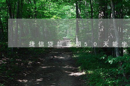 捷信贷款逾期50天能坐高铁吗 捷信贷款逾期50天能坐高铁吗