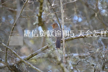 捷信贷款逾期5天会怎样 捷信贷款逾期5天会怎样