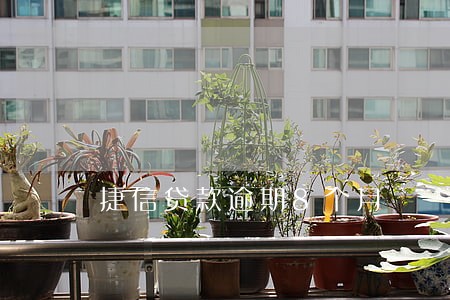捷信贷款逾期8个月 捷信贷款逾期8个月