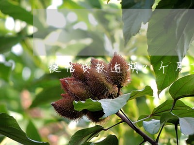 捷信贷款逾期9个月了怎么办 捷信贷款逾期9个月了怎么办