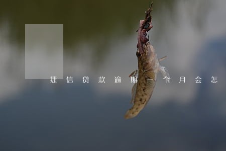 捷信贷款逾期一个月会怎样 捷信贷款逾期一个月会怎样