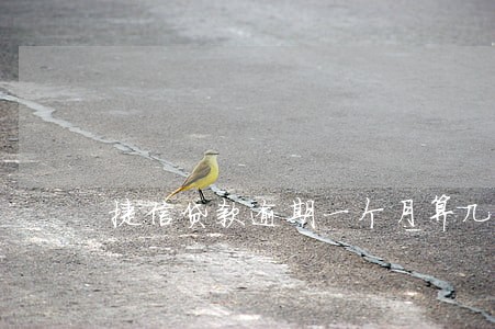 捷信贷款逾期一个月算几期 捷信贷款逾期一个月算几期