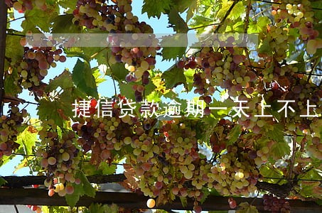 捷信贷款逾期一天上不上征信 捷信贷款逾期一天上不上征信