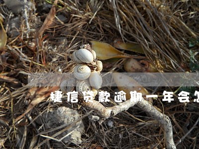 捷信贷款逾期一年会怎么样 捷信贷款逾期一年会怎么样