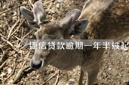 捷信贷款逾期一年半被起诉 捷信贷款逾期一年半被起诉