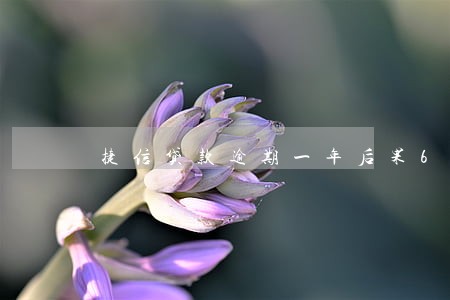 捷信贷款逾期一年后果6 捷信贷款逾期一年后果6
