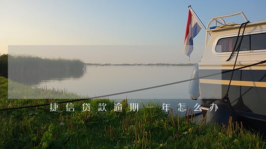 捷信贷款逾期一年怎么办