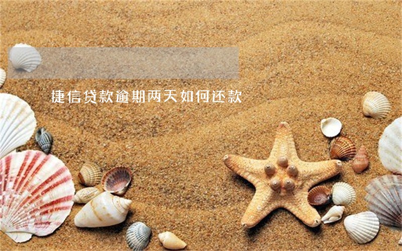 捷信贷款逾期两天如何还款 捷信贷款逾期两天如何还款
