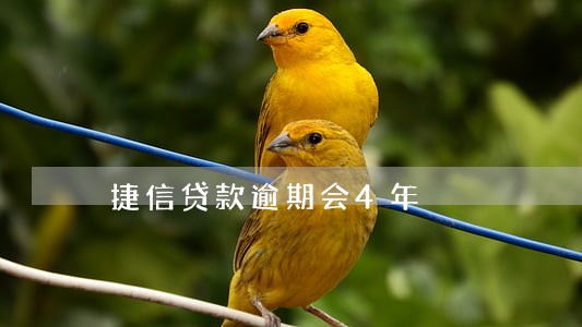 捷信贷款逾期会4年 捷信贷款逾期会4年