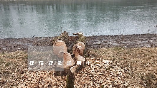 捷信贷款逾期十二天 捷信贷款逾期十二天