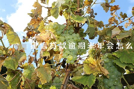 捷信贷款逾期半年会怎么样 捷信贷款逾期半年会怎么样