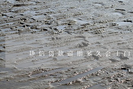 捷信贷款逾期多久会上门 捷信贷款逾期多久会上门