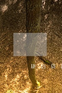 捷信贷款逾期多久会联系家人 捷信贷款逾期多久会联系家人