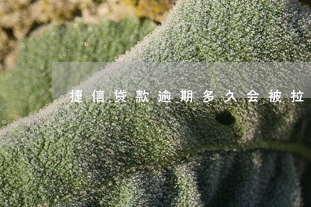 捷信贷款逾期多久会被拉黑 捷信贷款逾期多久会被拉黑