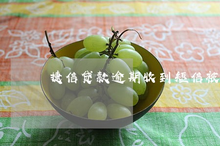 捷信贷款逾期收到短信被起诉 捷信贷款逾期收到短信被起诉