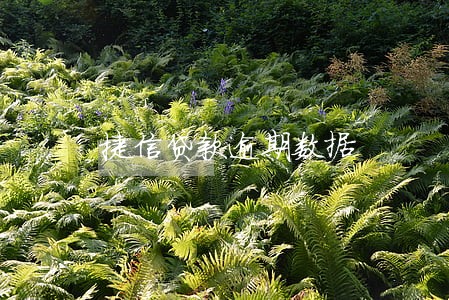 捷信贷款逾期数据 捷信贷款逾期数据