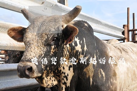 捷信贷款逾期起诉短信 捷信贷款逾期起诉短信