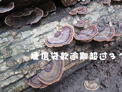 捷信贷款逾期超过3个月
