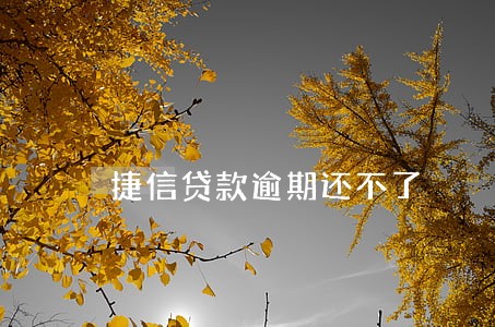 捷信贷款逾期还不了 捷信贷款逾期还不了