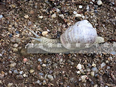 捷信贷款逾期龙卡信用卡被冻结 捷信贷款逾期龙卡信用卡被冻结
