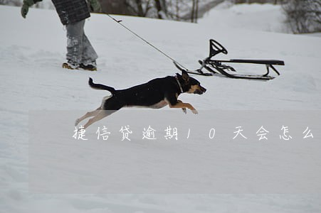 捷信贷逾期10天会怎么样 捷信贷逾期10天会怎么样