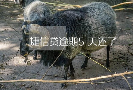 捷信贷逾期5天还了 捷信贷逾期5天还了