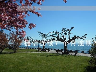 捷信连续7个月逾期2天 捷信连续7个月逾期2天
