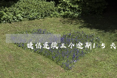 捷信连续三个逾期15天 捷信连续三个逾期15天
