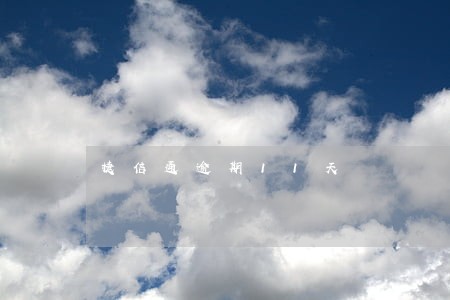 捷信通逾期11天 捷信通逾期11天