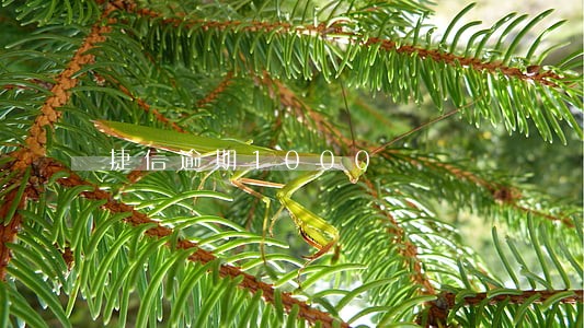 捷信逾期1000 捷信逾期1000