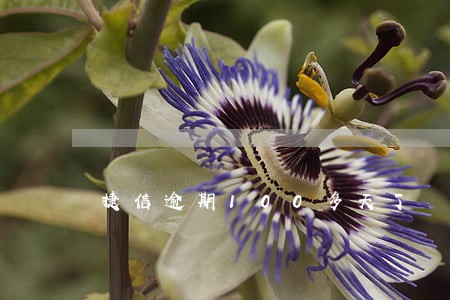 捷信逾期100多天了 捷信逾期100多天了
