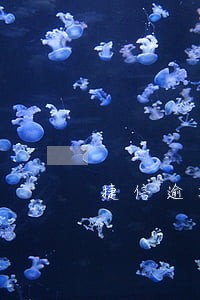 捷信逾期100天会消除吗 捷信逾期100天会消除吗